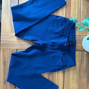 Ann Taylor Vibrant Blue Modern Fit Trousers